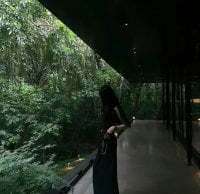 -MinaYoung- avatar