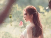 -Site-lee avatar