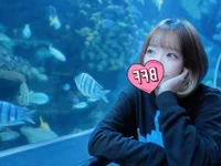 -YUA-jp avatar