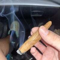 420bigdickking avatar