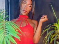 ALONDRA-FARELO avatar