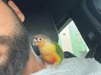 Abou__LaYLa31 avatar