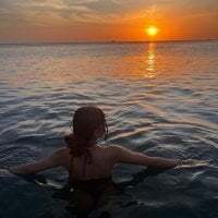 Aisha_violeht avatar