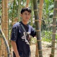 Alonso_parati avatar