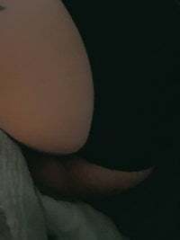 Alyssa333 avatar