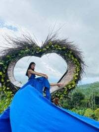 AmityCoombs avatar