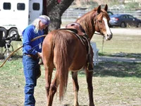 AncientCowboyStud avatar