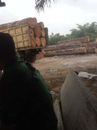 Andigondrong123 avatar