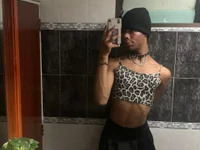 AndyCat3_ avatar