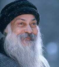 Ankisabki avatar