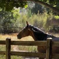 AnnoyedAnnual avatar