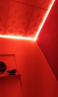 AnthonellaKeen avatar