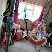 AsStraightAsARuler avatar