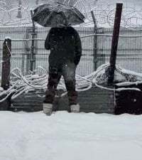 AuthorizedLighter339 avatar