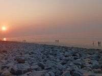 Ayush_pussy_fucker avatar