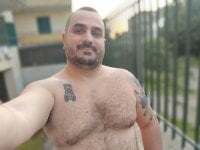 BBearking92 avatar