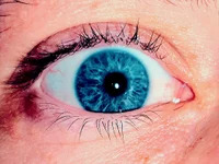 BLUE-EYESSS avatar