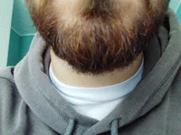 BananaEtero1 avatar