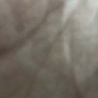 BestAwardYear avatar