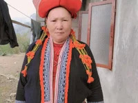 BigAss-Vietnames avatar