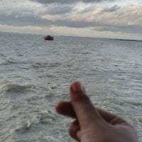 BlueOrchid_07 avatar