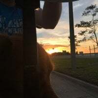 BonerKickstand avatar