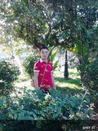 Boytasexy avatar