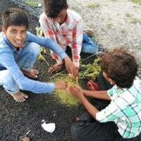 Brook_jimmy7777_ avatar