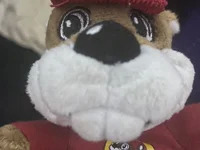BrowardBussy avatar