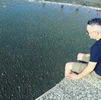 CELIK3577 avatar