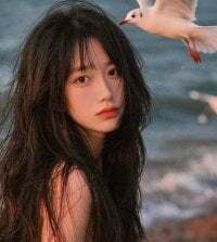 CHENGZI-2025 avatar