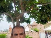 CHUTNIBHUTNI avatar