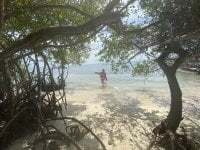 Capricornmystic1 avatar