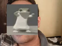 CeramicShape4 avatar