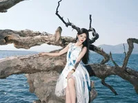 Crush-520 avatar