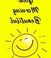 CurveD4TheLadies avatar