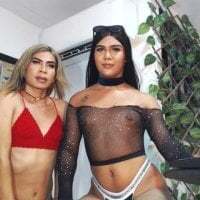 DIRTY_TRANSXXX avatar