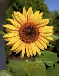 Daddybigcock12 avatar