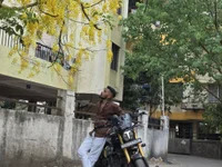 Desihotboy990 avatar