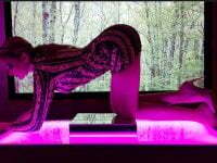 DirtyDiana69_ avatar