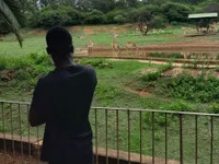 DiscipleOfDiddy avatar