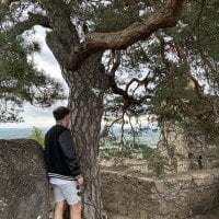 Disturbeeflarge avatar