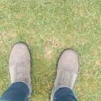 Dovers avatar