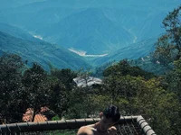 Dracco_Velour_ avatar