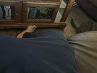 Dwizzlerperizzlee avatar