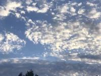 EighthPowder avatar