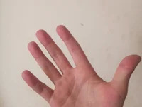 Elcomandantevegeta avatar