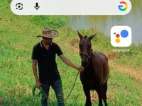 Ell182026 avatar