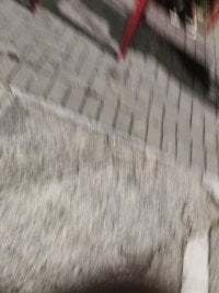 ErickFelipe25 avatar