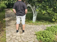 FLAPDROL70 avatar